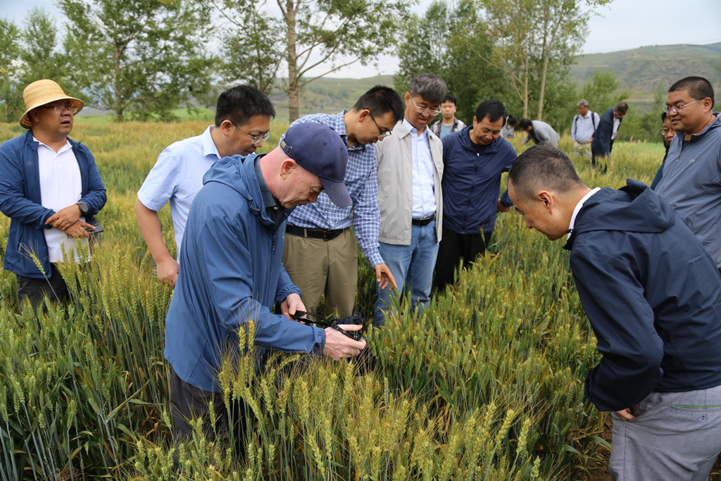 928a911e73524d1d91085d7db521e8a3.png 928a911e73524d1d91085d7db521e8a3.png